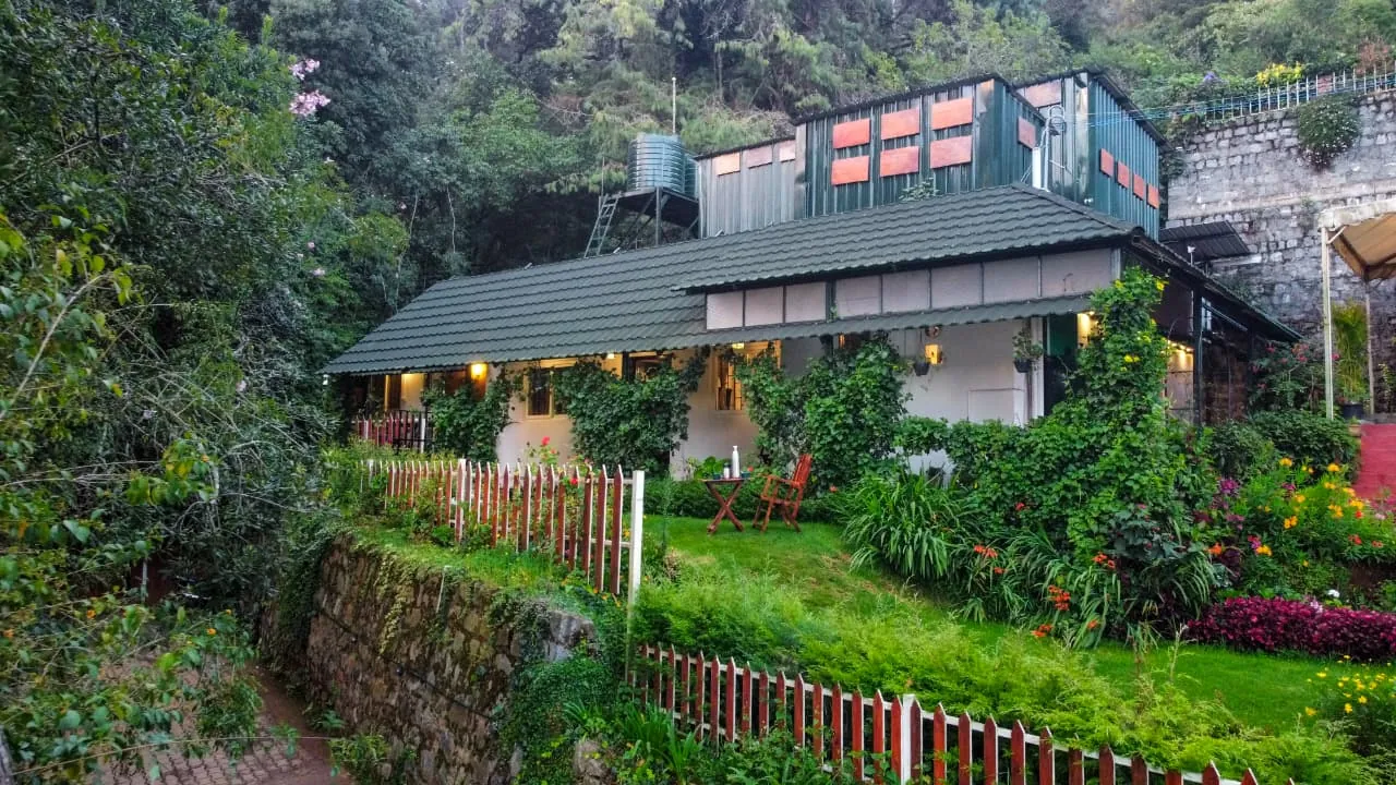 Amber by The Tamarillo: the cottage, garden and lit verandah at the forest's edge