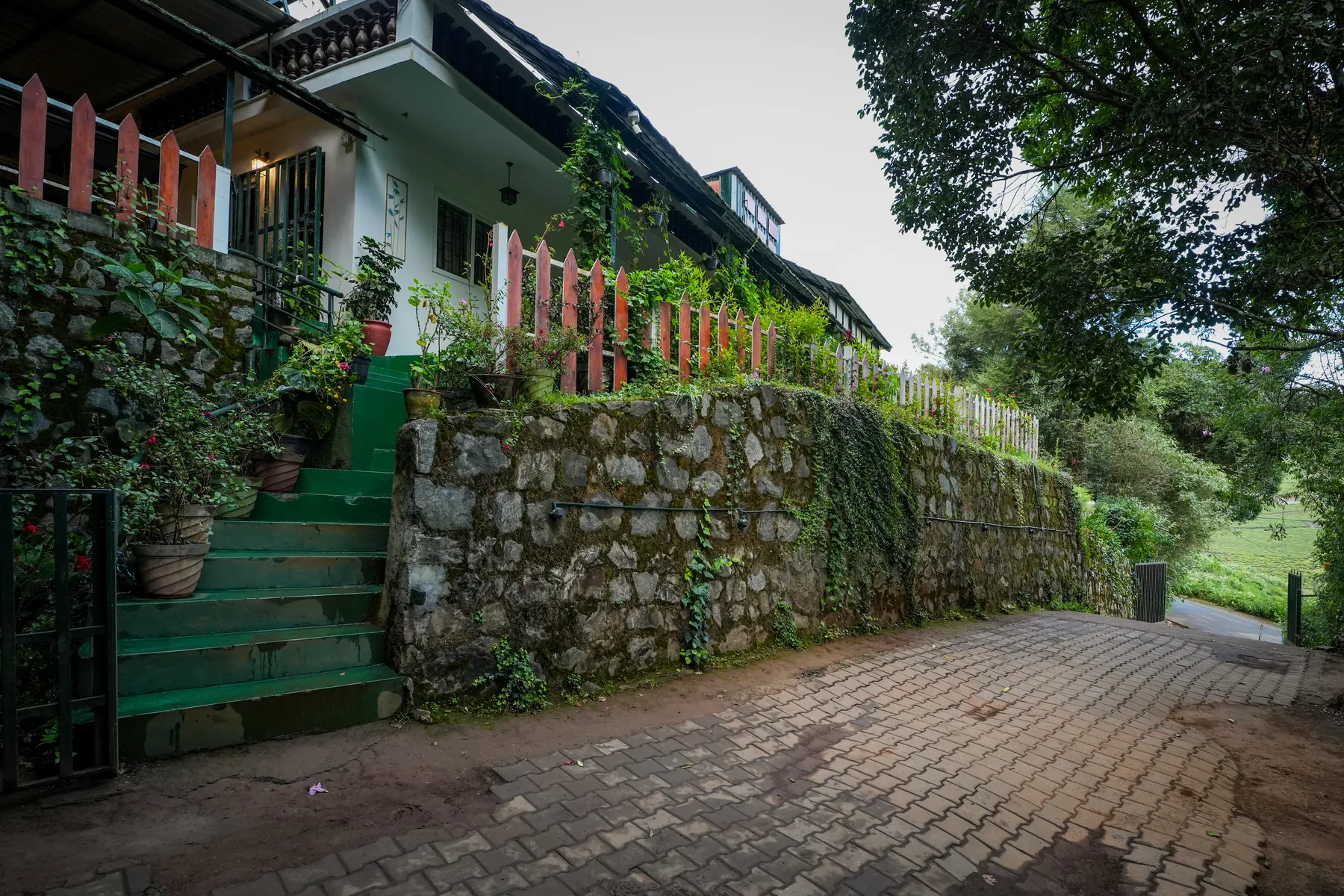 The green steps up from the parking to the property