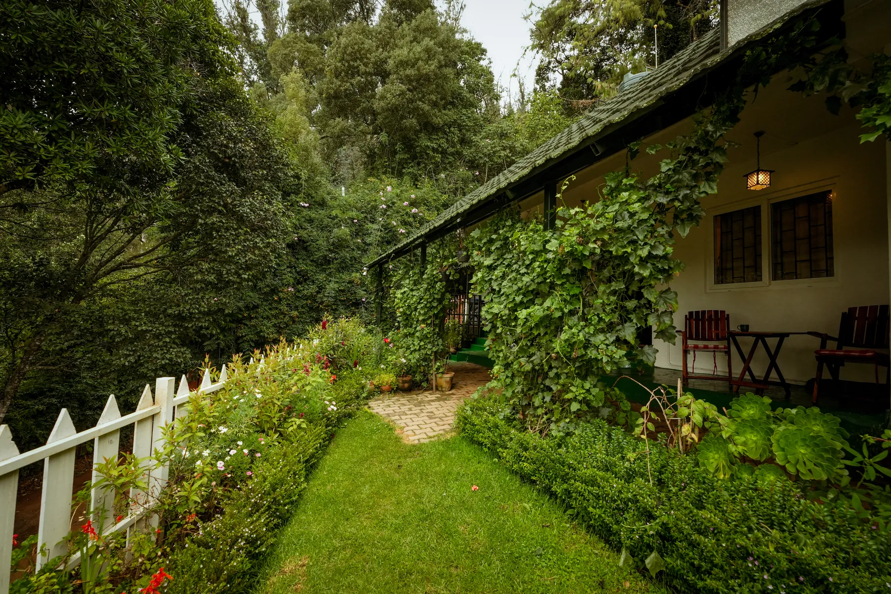 The frontage and garden path