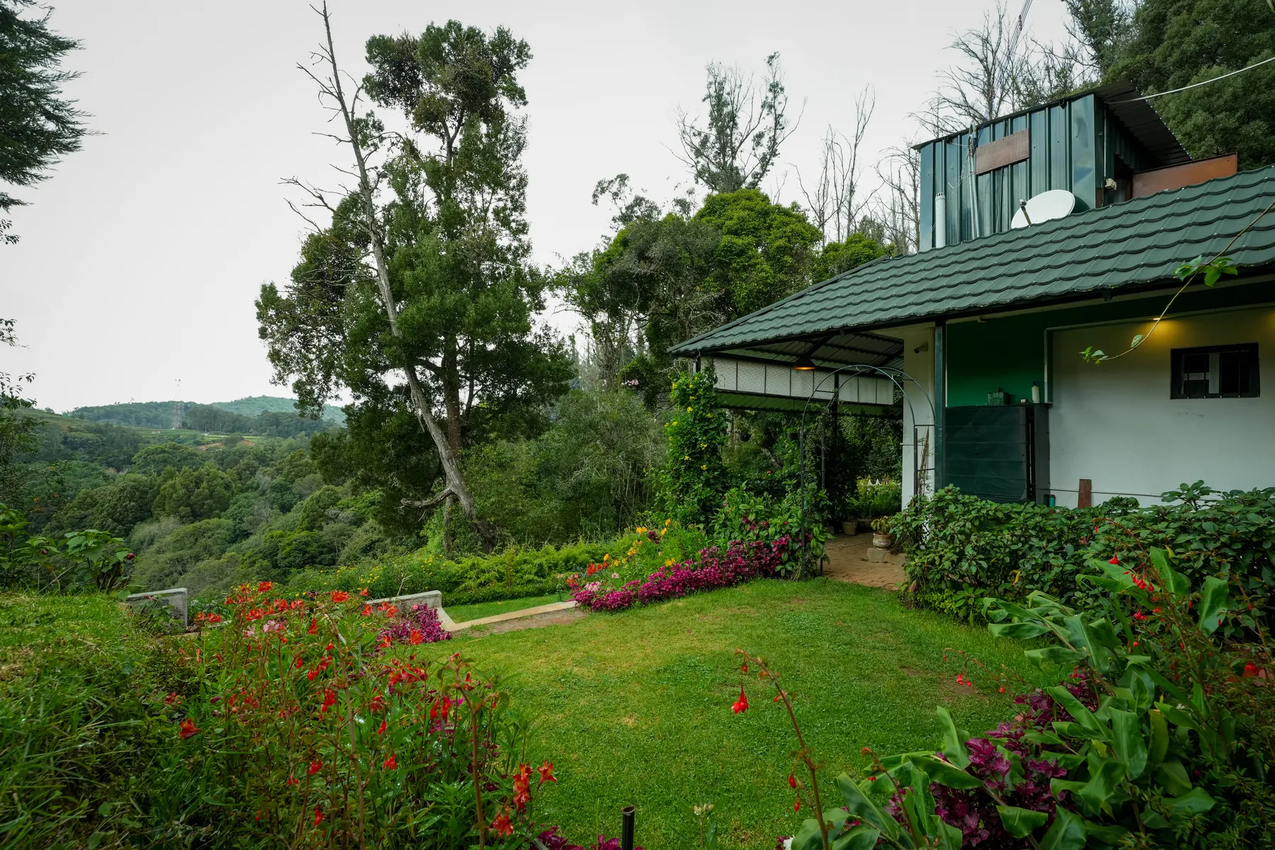 The garden lawn