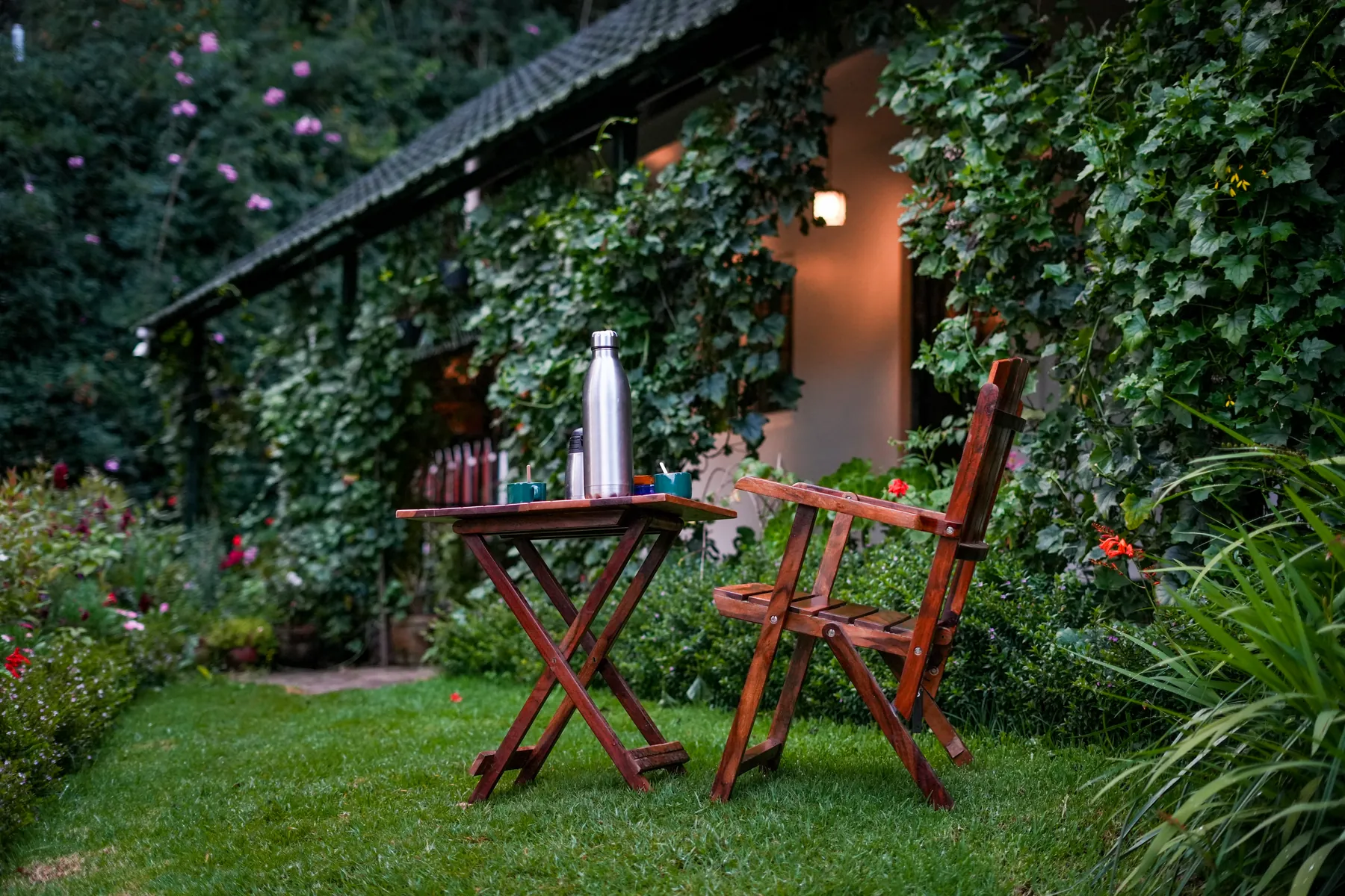 A wooden table under the vines, lamp lit