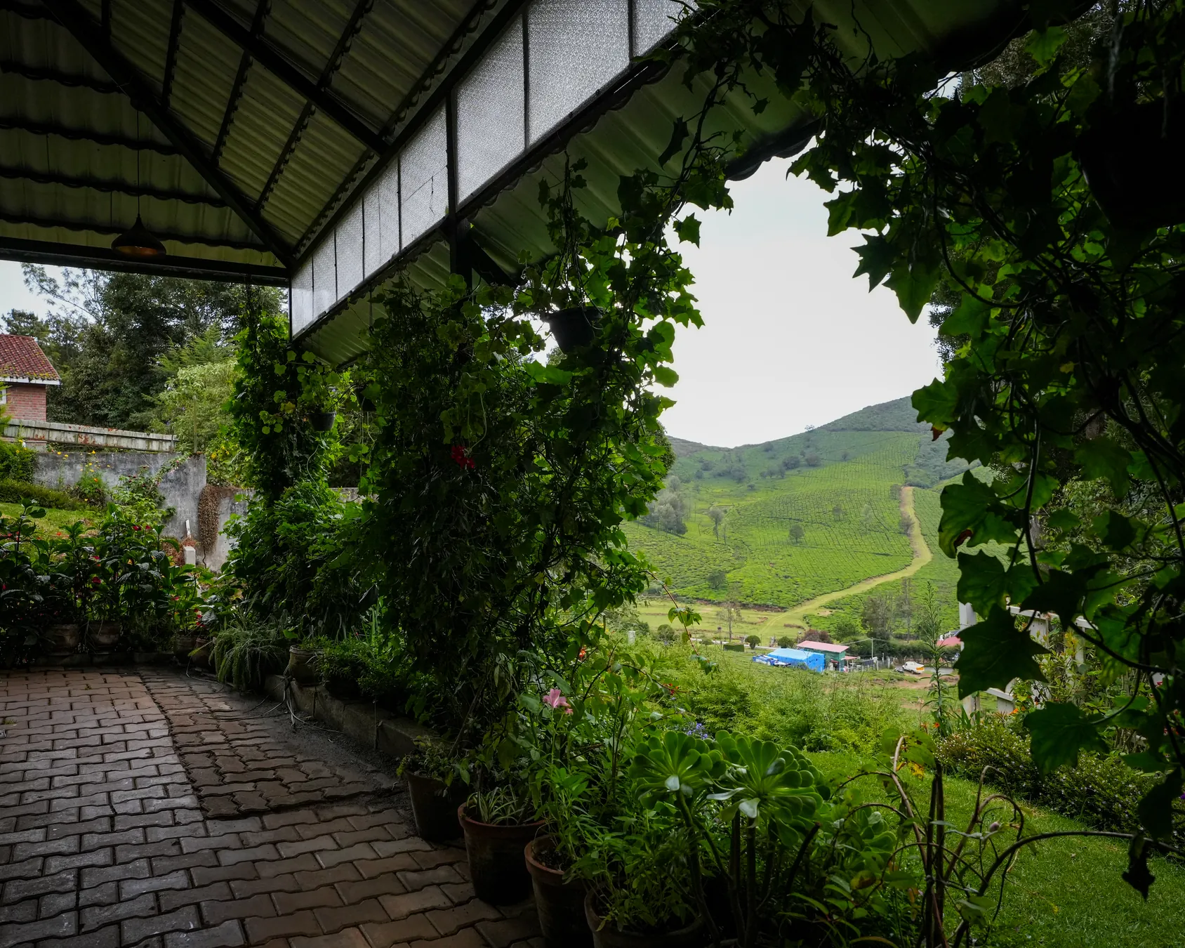 The view from the Superior verandah